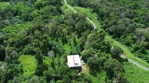 PR-183 San Lorenzo PR 00754