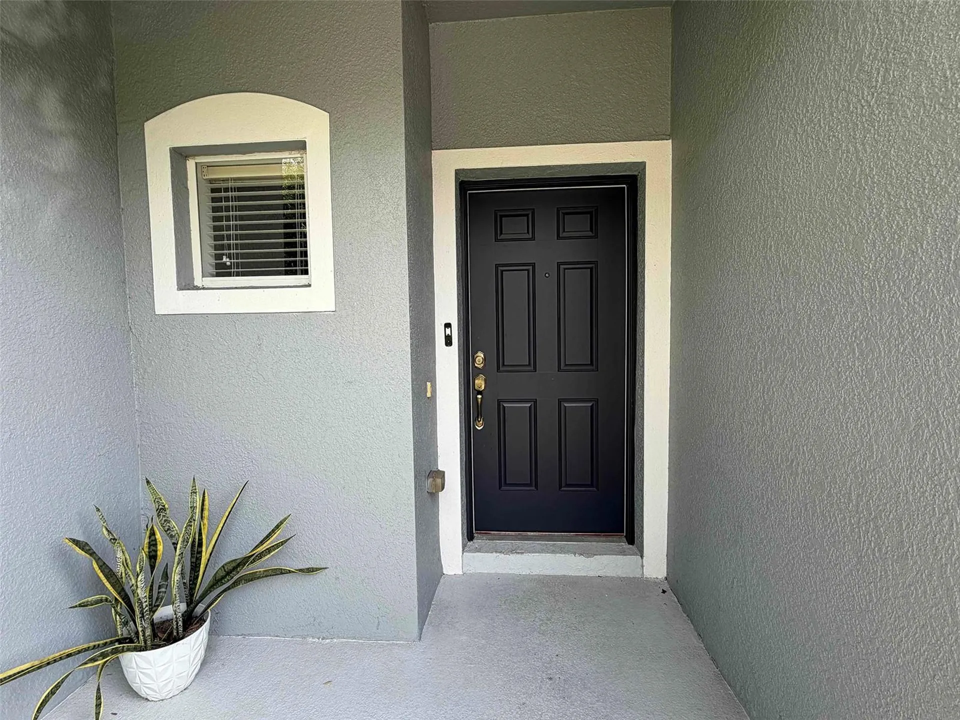 4530 Amberly Oaks Court Tampa FL 33614