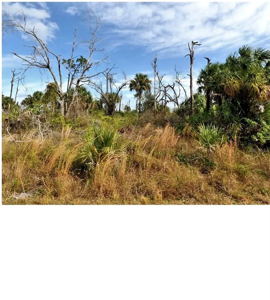 0 Menzler Street North Port FL 34288