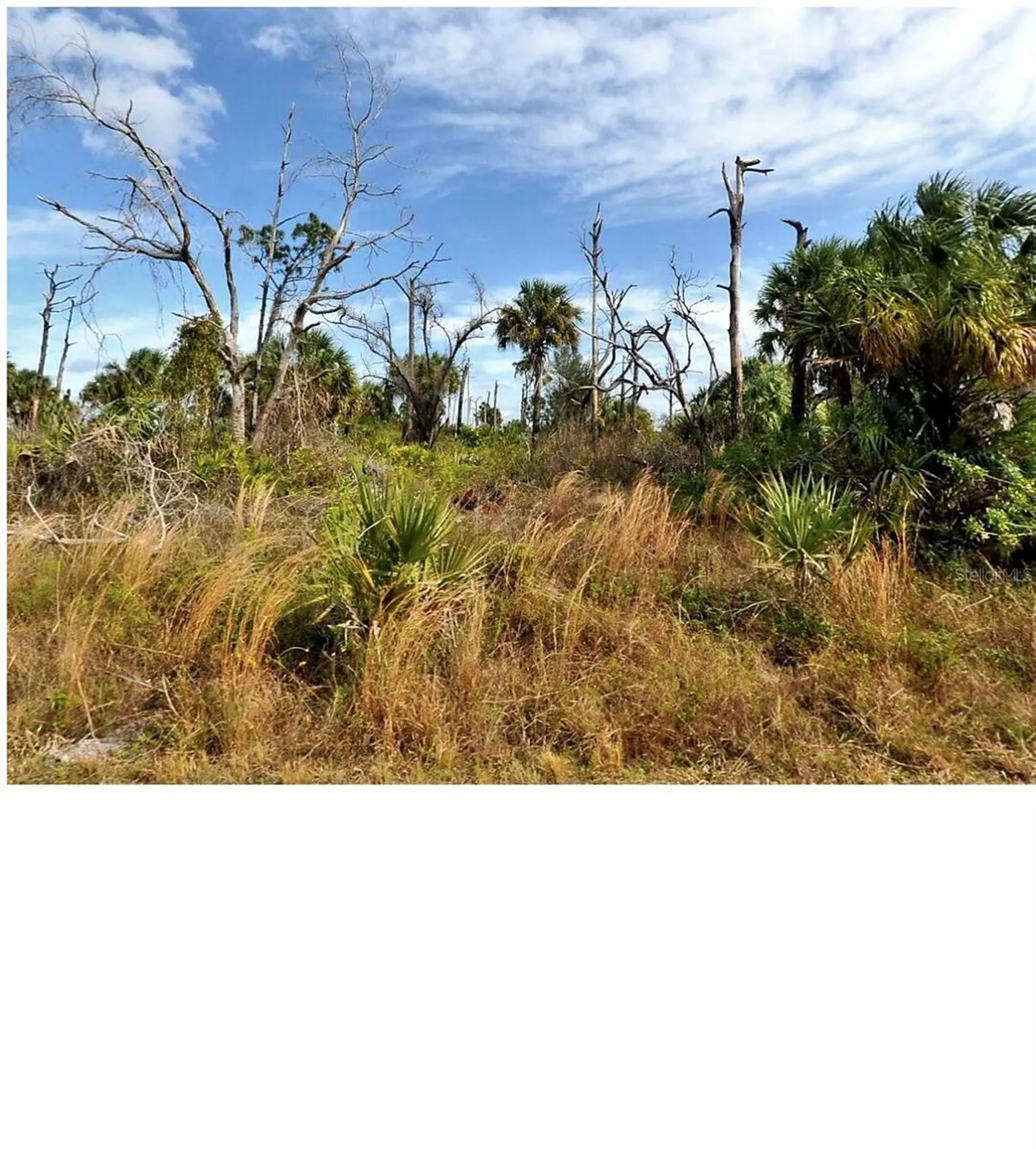 0 Menzler Street North Port FL 34288