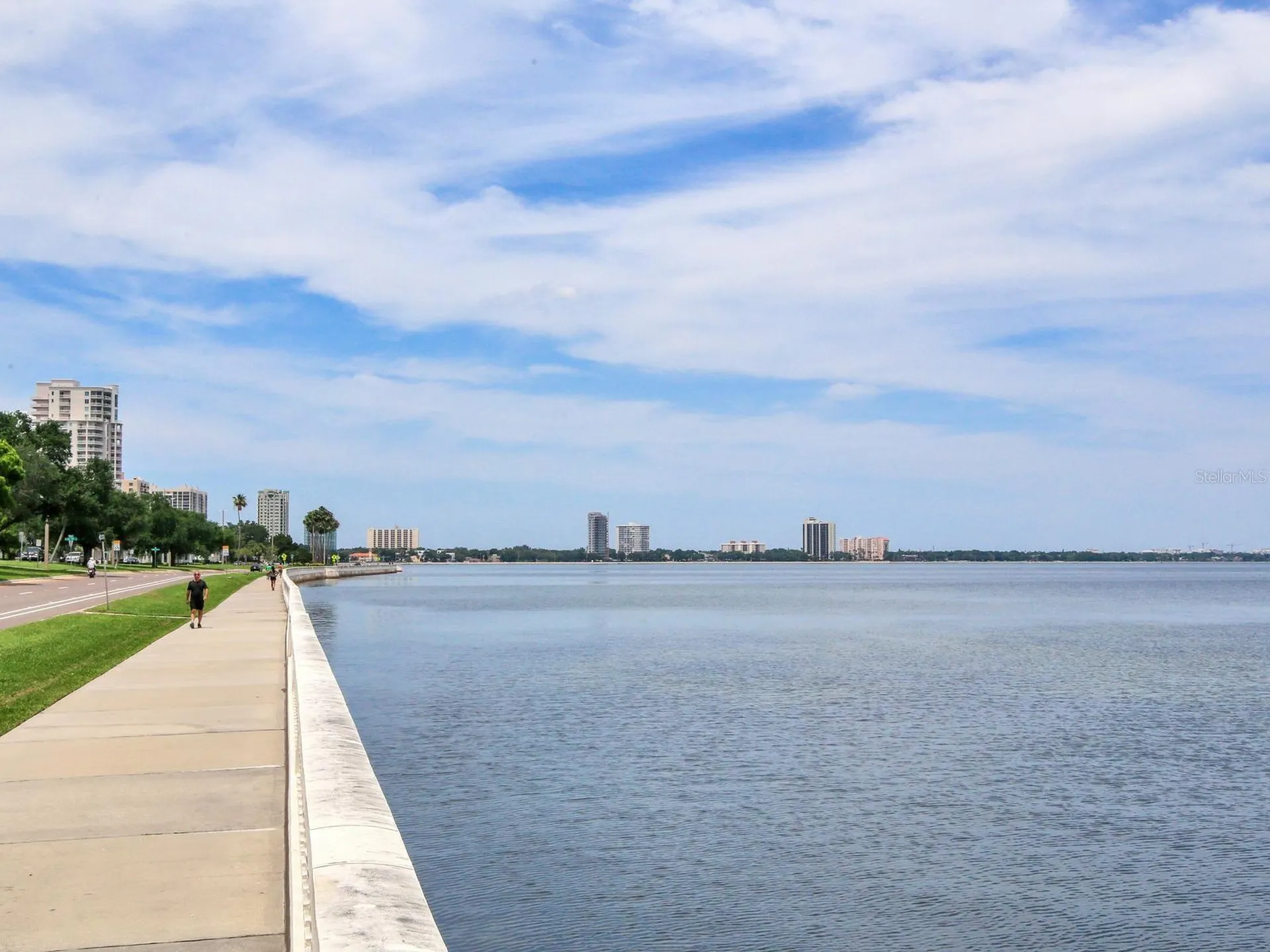 4141 Bayshore Boulevard Tampa FL 33611