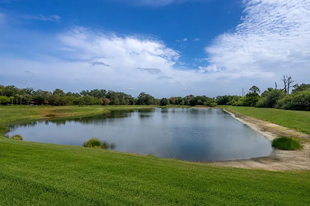 9310 Blueberry Ash Circle Riverview FL 33578