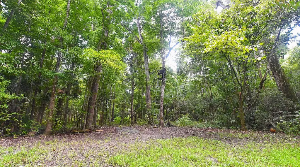 Volco Road Edgewater FL 32141