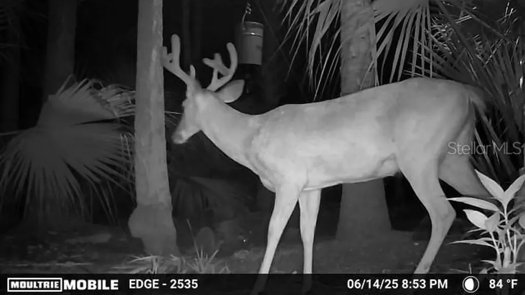 Volco Road Edgewater FL 32141