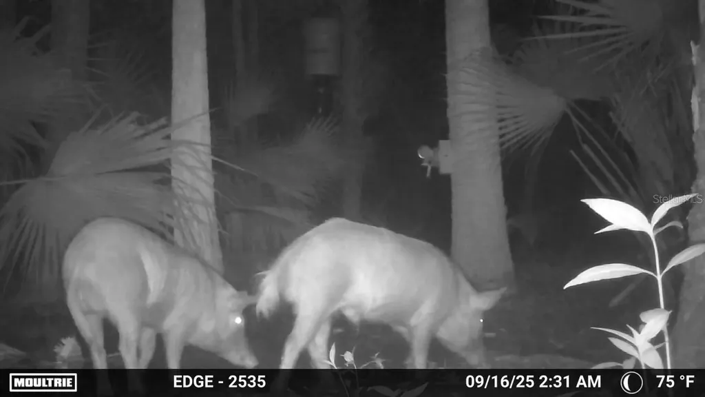 Volco Road Edgewater FL 32141
