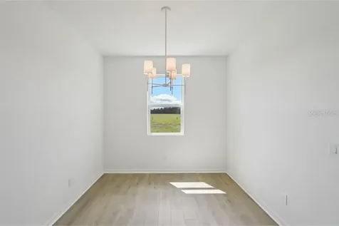 30135 Emerald Forest Drive Mount Dora FL 32757