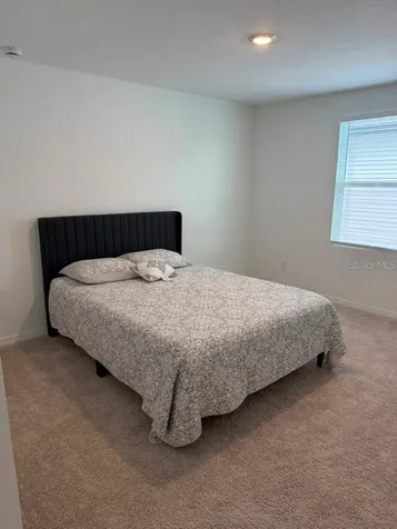 17658 Japonica Bloom Drive Winter Garden FL 34787