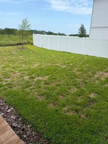 17658 Japonica Bloom Drive Winter Garden FL 34787