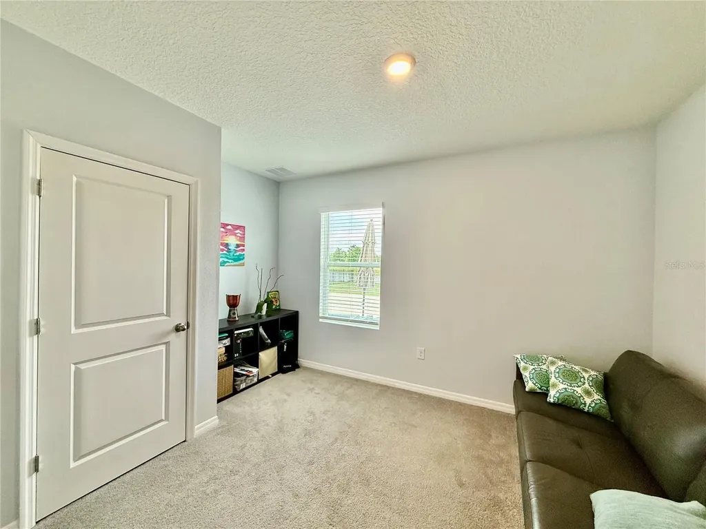 30807 Penny Surf Loop Wesley Chapel FL 33545