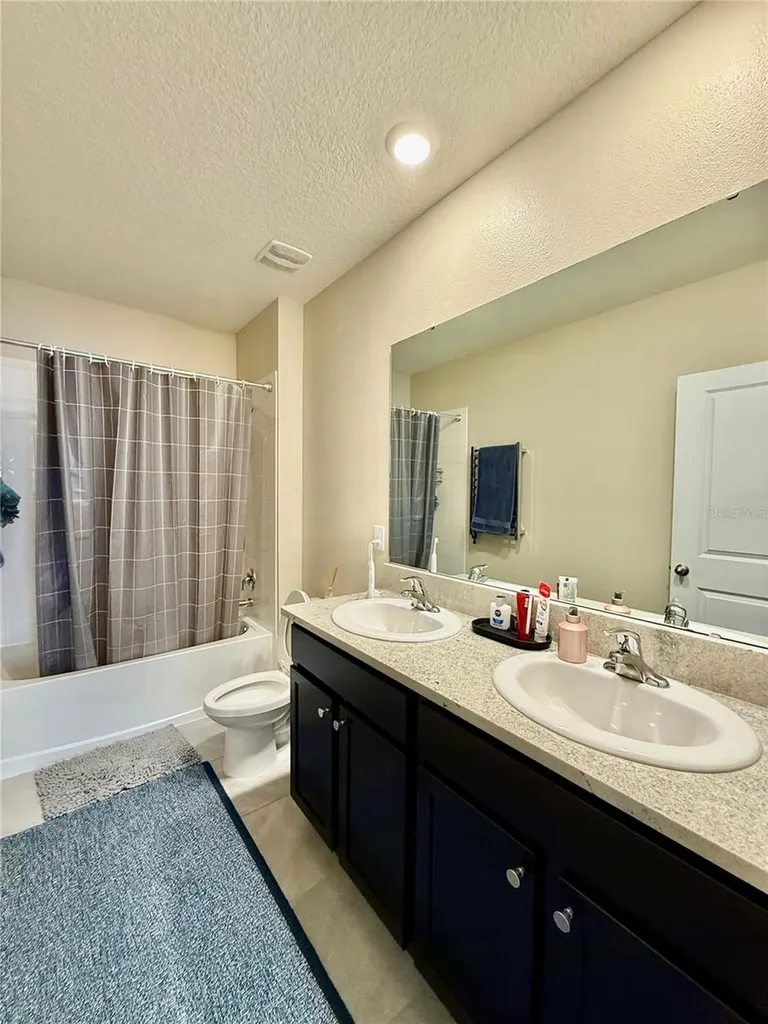 30807 Penny Surf Loop Wesley Chapel FL 33545