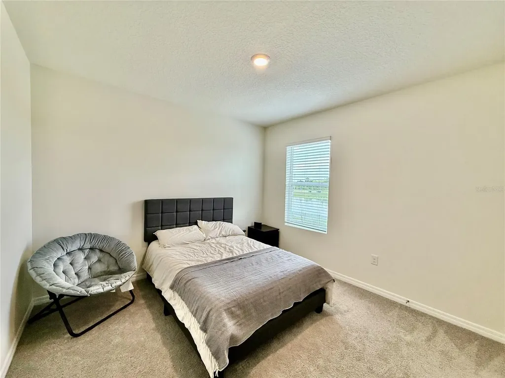 30807 Penny Surf Loop Wesley Chapel FL 33545