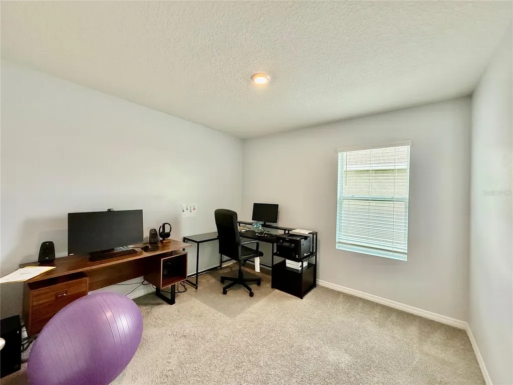 30807 Penny Surf Loop Wesley Chapel FL 33545