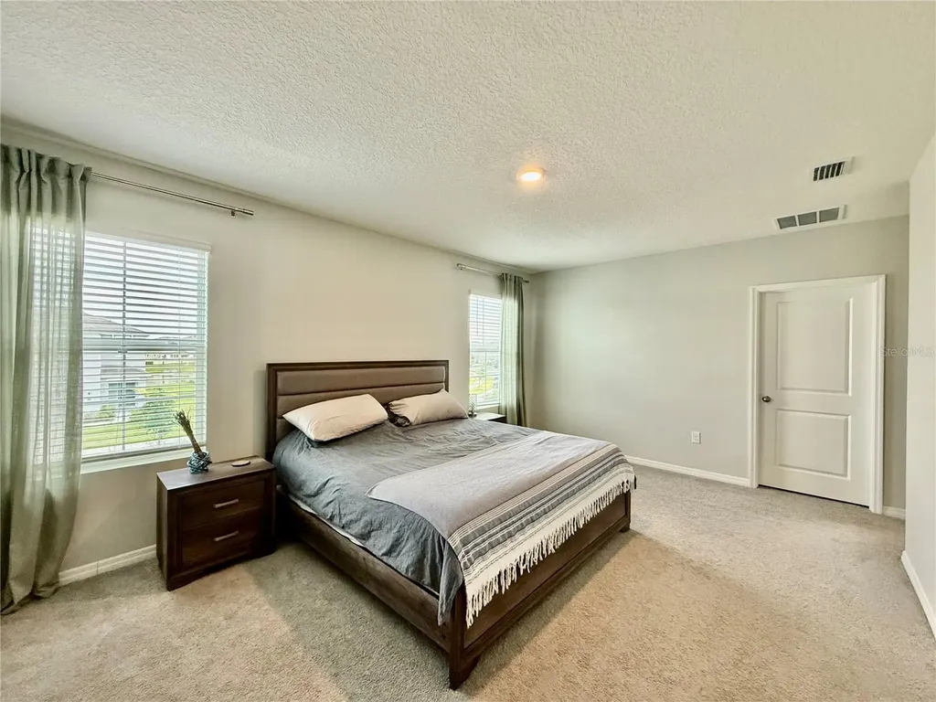 30807 Penny Surf Loop Wesley Chapel FL 33545