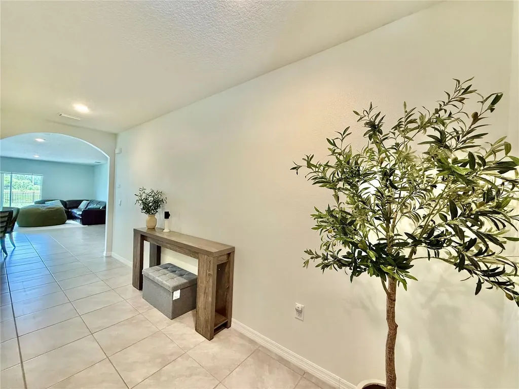 30807 Penny Surf Loop Wesley Chapel FL 33545