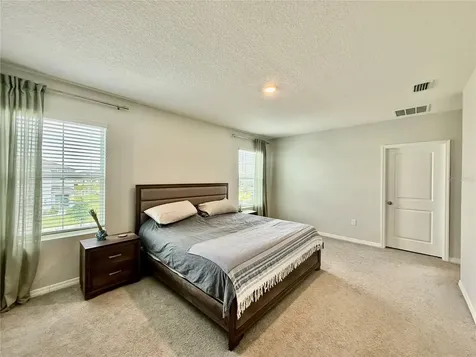 30807 Penny Surf Loop Wesley Chapel FL 33545
