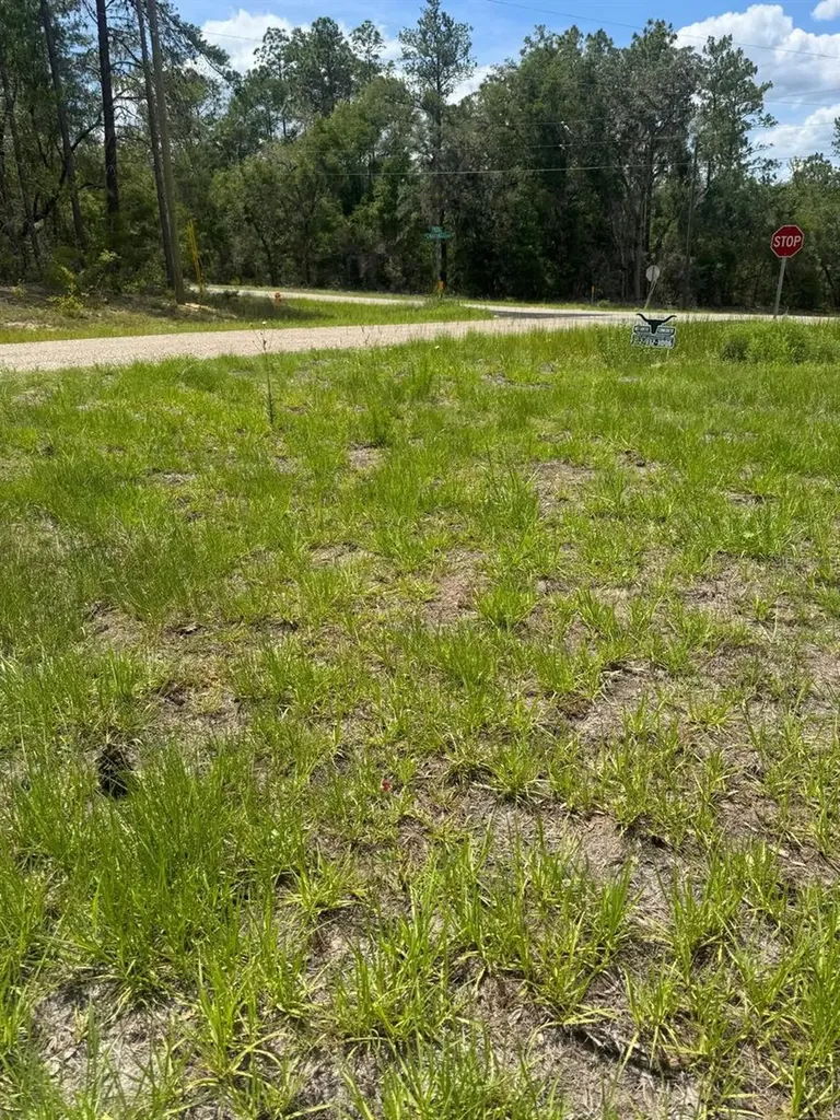 11183 N Vesta Point Citrus Springs FL 34434