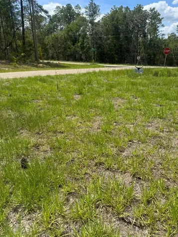 11183 N Vesta Point Citrus Springs FL 34434