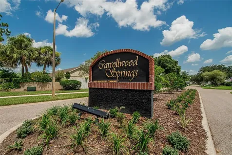 15112 Roundup Drive Tampa FL 33624