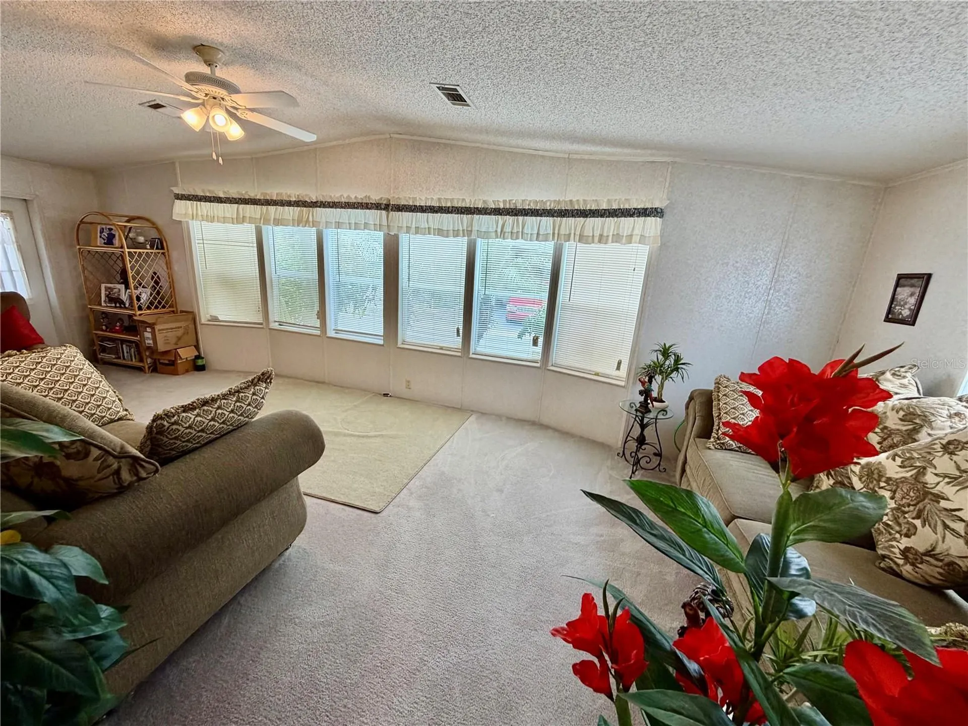 34066 Avocado Drive N Pinellas Park FL 33781