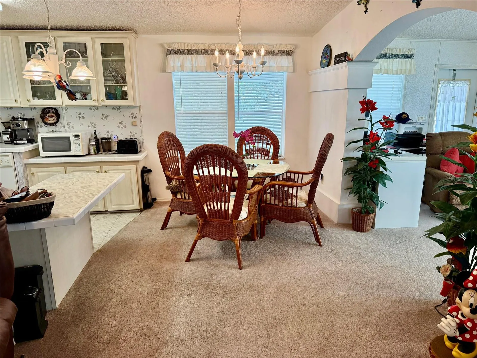 34066 Avocado Drive N Pinellas Park FL 33781