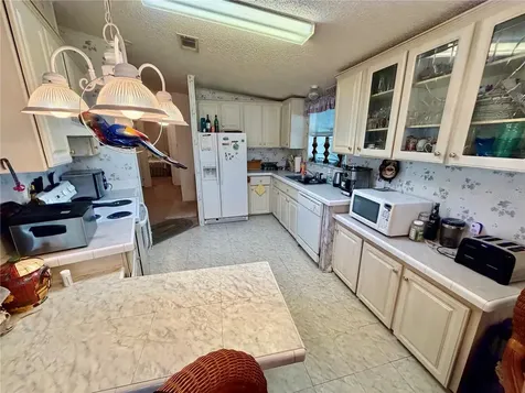 34066 Avocado Drive N Pinellas Park FL 33781