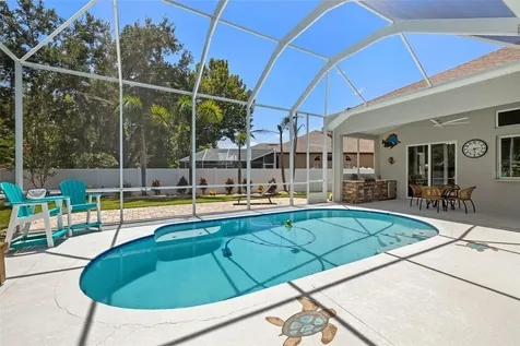 27901 Summer Place Drive Wesley Chapel FL 33544