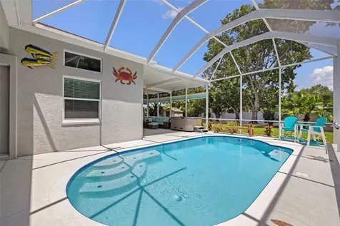 27901 Summer Place Drive Wesley Chapel FL 33544