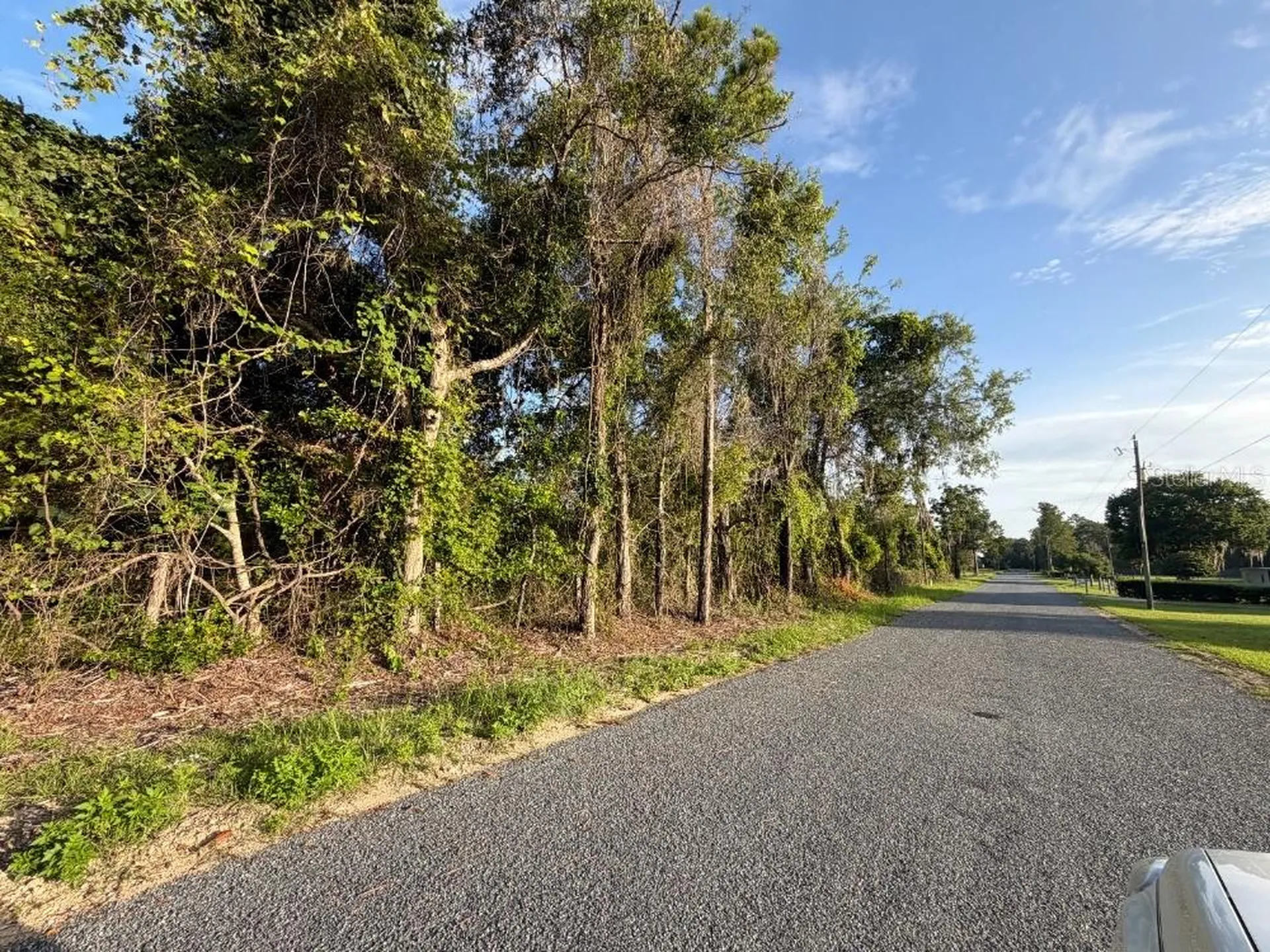 NE 160th Avenue Williston FL 32696