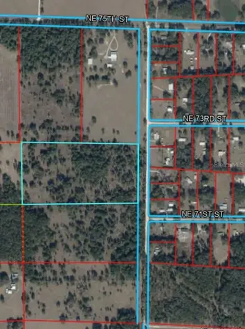 NE 160th Avenue Williston FL 32696