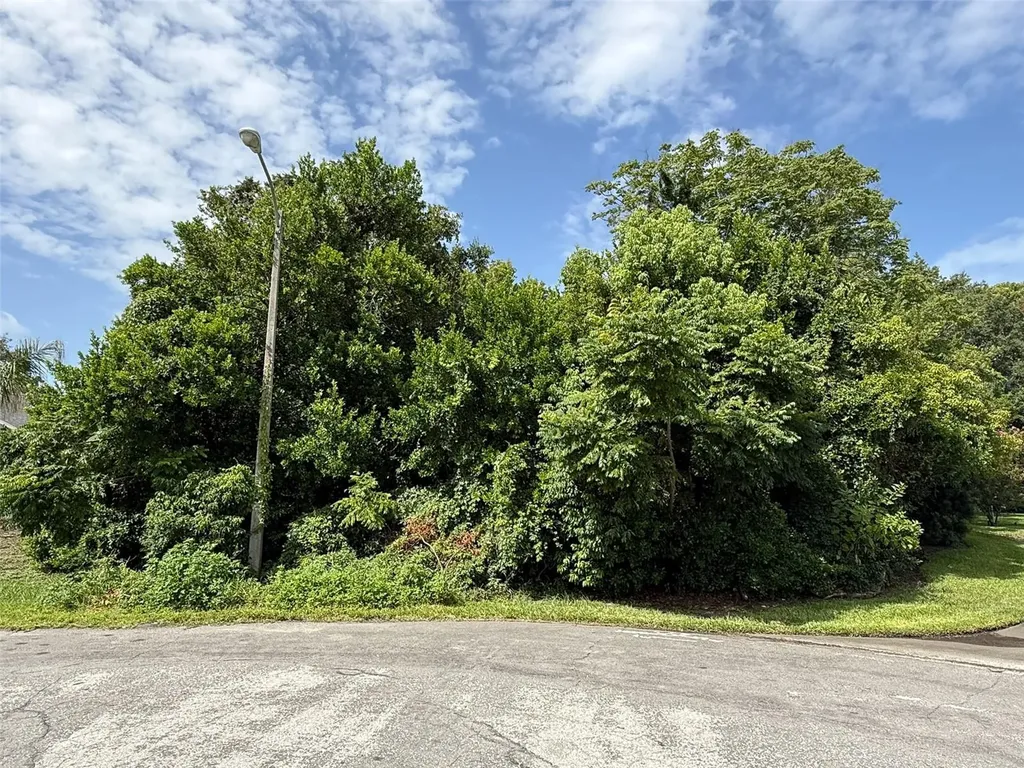 1453 Brigadier Drive Spring Hill FL 34608