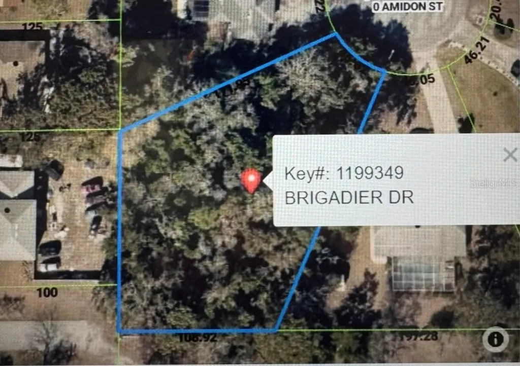 1453 Brigadier Drive Spring Hill FL 34608
