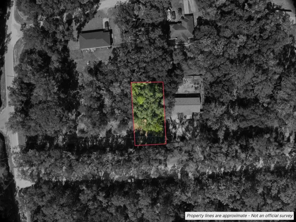 Lot #1 St Patrick Drive Dunnellon FL 34432