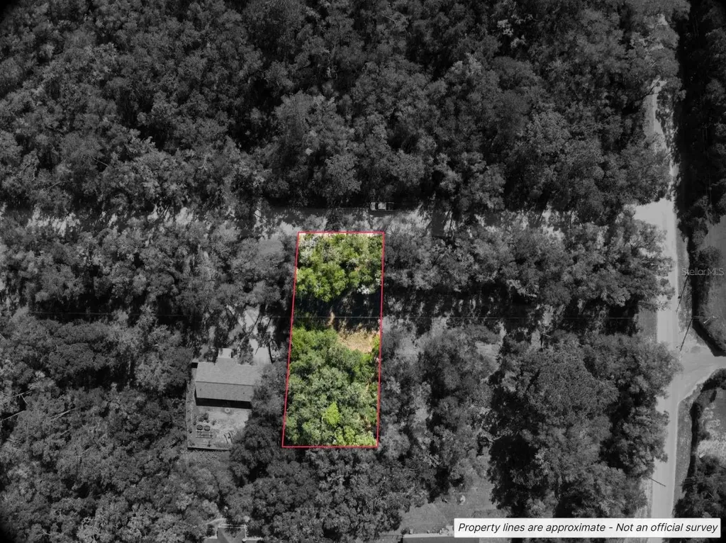 Lot #1 St Patrick Drive Dunnellon FL 34432
