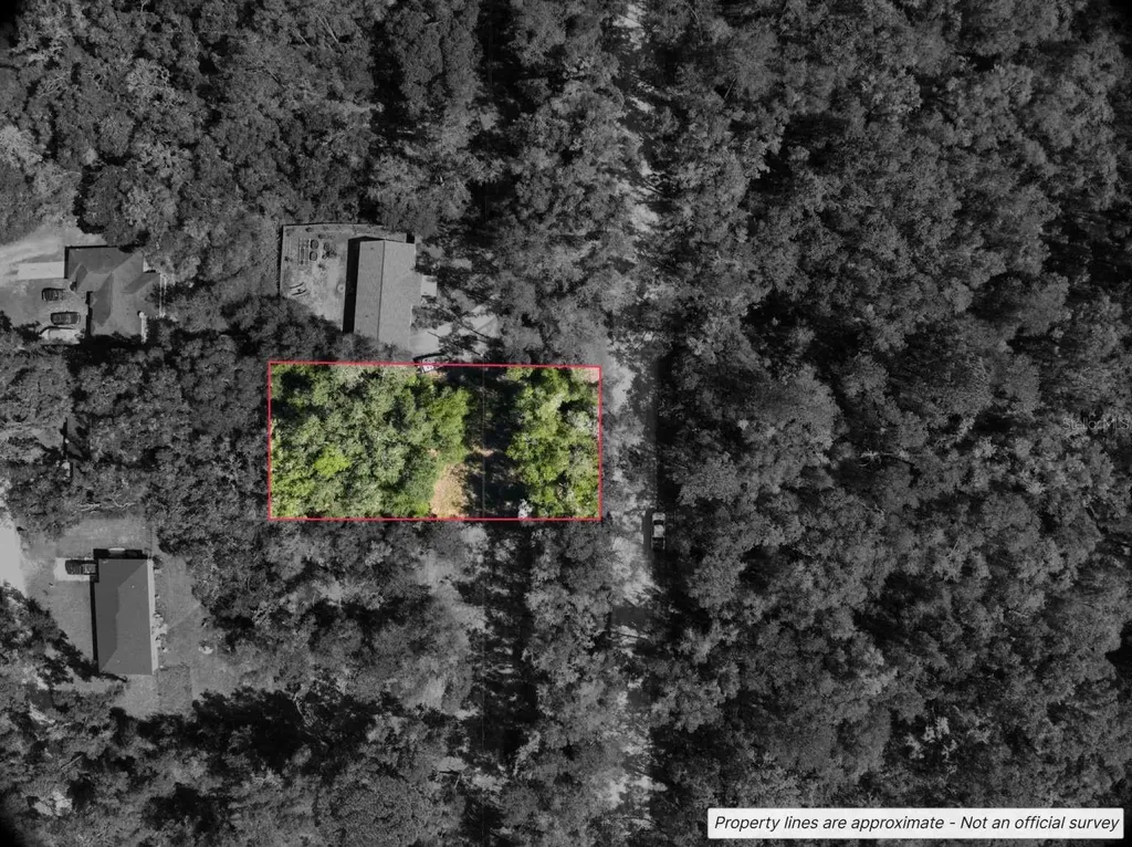 Lot #1 St Patrick Drive Dunnellon FL 34432