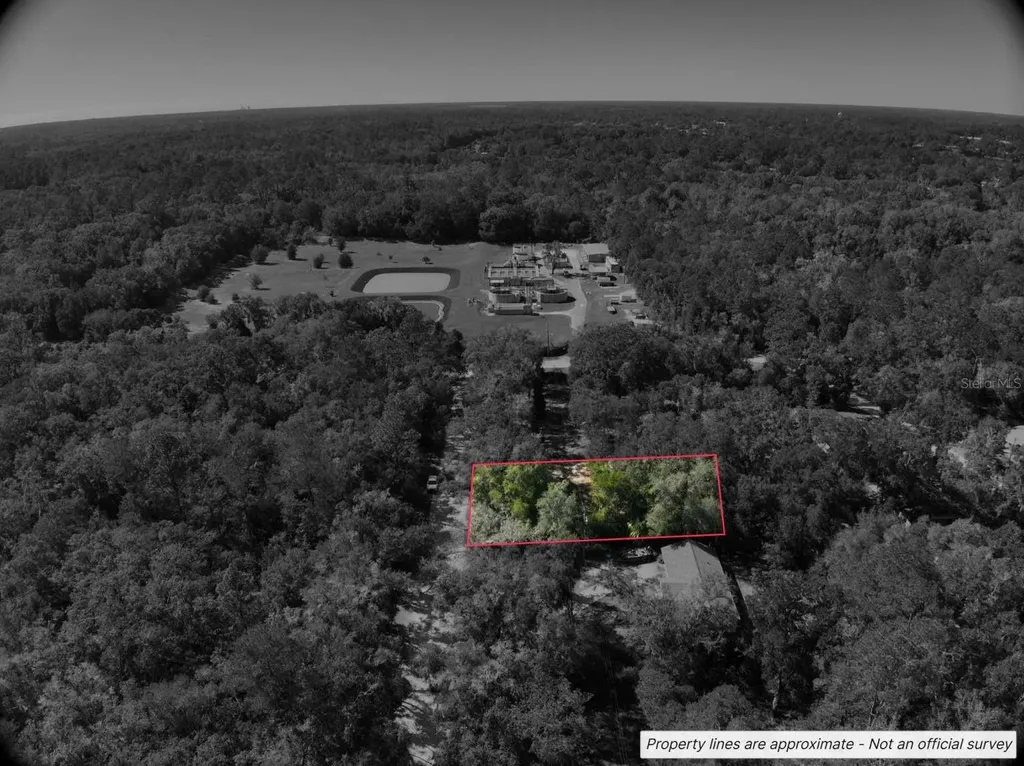 Lot #1 St Patrick Drive Dunnellon FL 34432