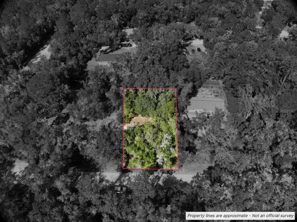 Lot #1 St Patrick Drive Dunnellon FL 34432