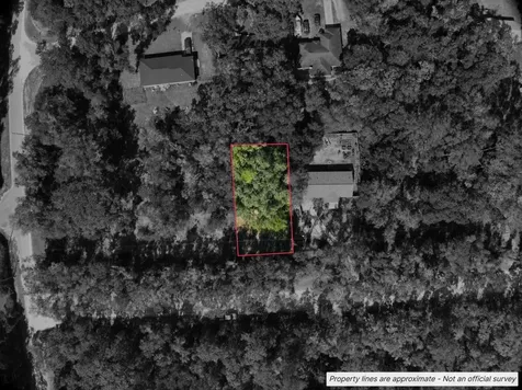 Lot #1 St Patrick Drive Dunnellon FL 34432