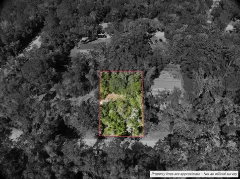 Lot #1 St Patrick Drive Dunnellon FL 34432