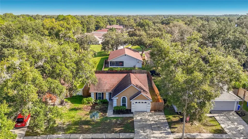 1032 Hardwood Drive Valrico FL 33596