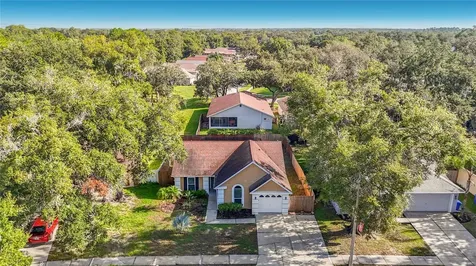 1032 Hardwood Drive Valrico FL 33596