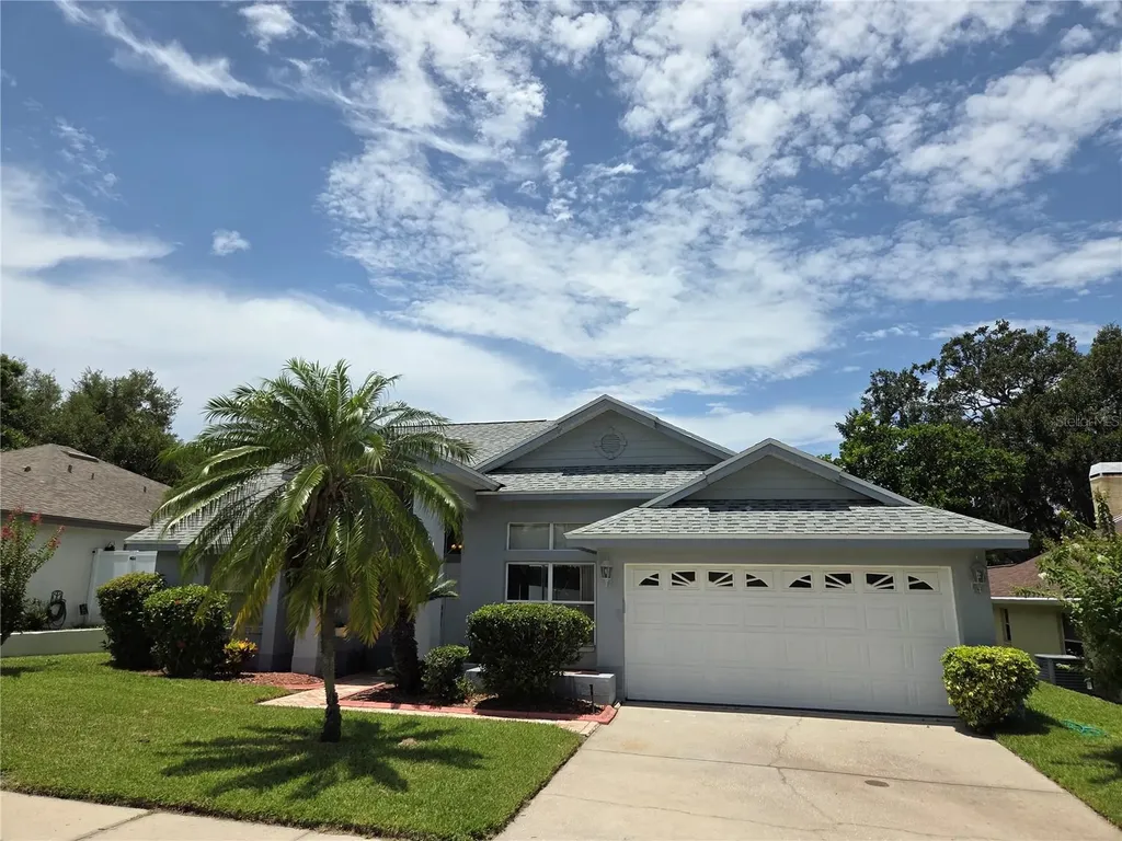 770 Wildflower Drive Palm Harbor FL 34683