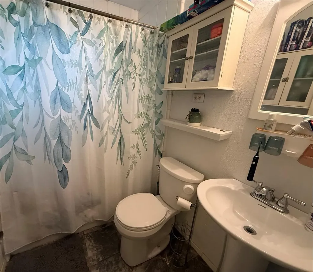 1435 Triangle Drive Mount Dora FL 32757