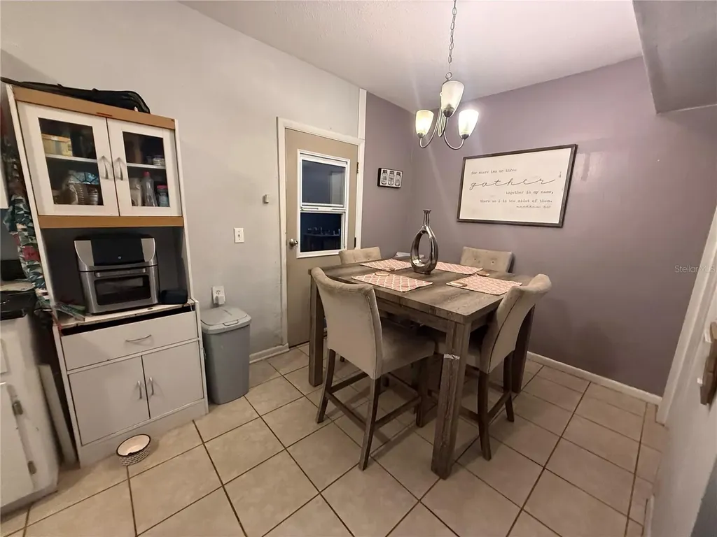 1435 Triangle Drive Mount Dora FL 32757