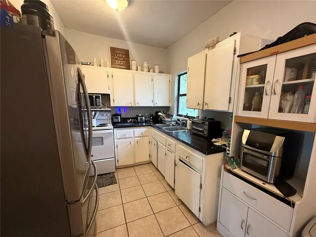 1435 Triangle Drive Mount Dora FL 32757