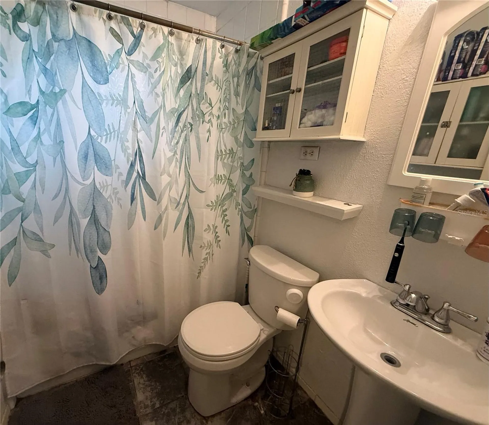 1435 Triangle Drive Mount Dora FL 32757