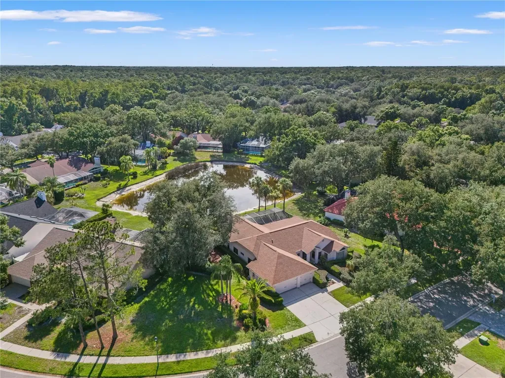 15923 Ellsworth Drive Tampa FL 33647