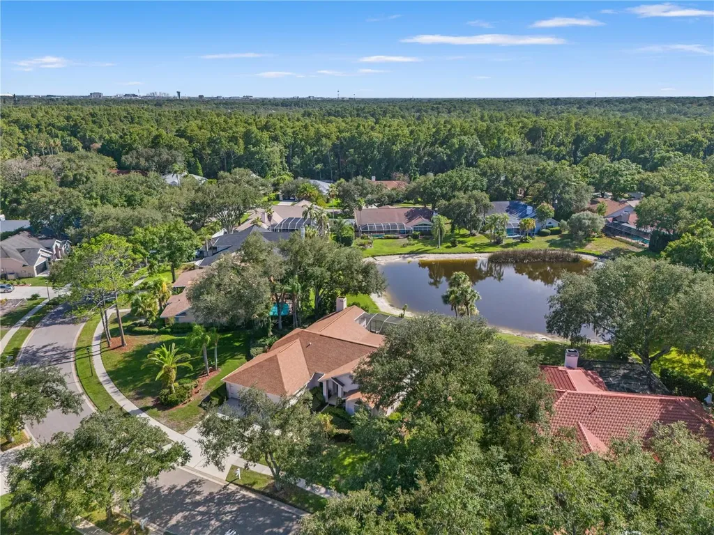 15923 Ellsworth Drive Tampa FL 33647