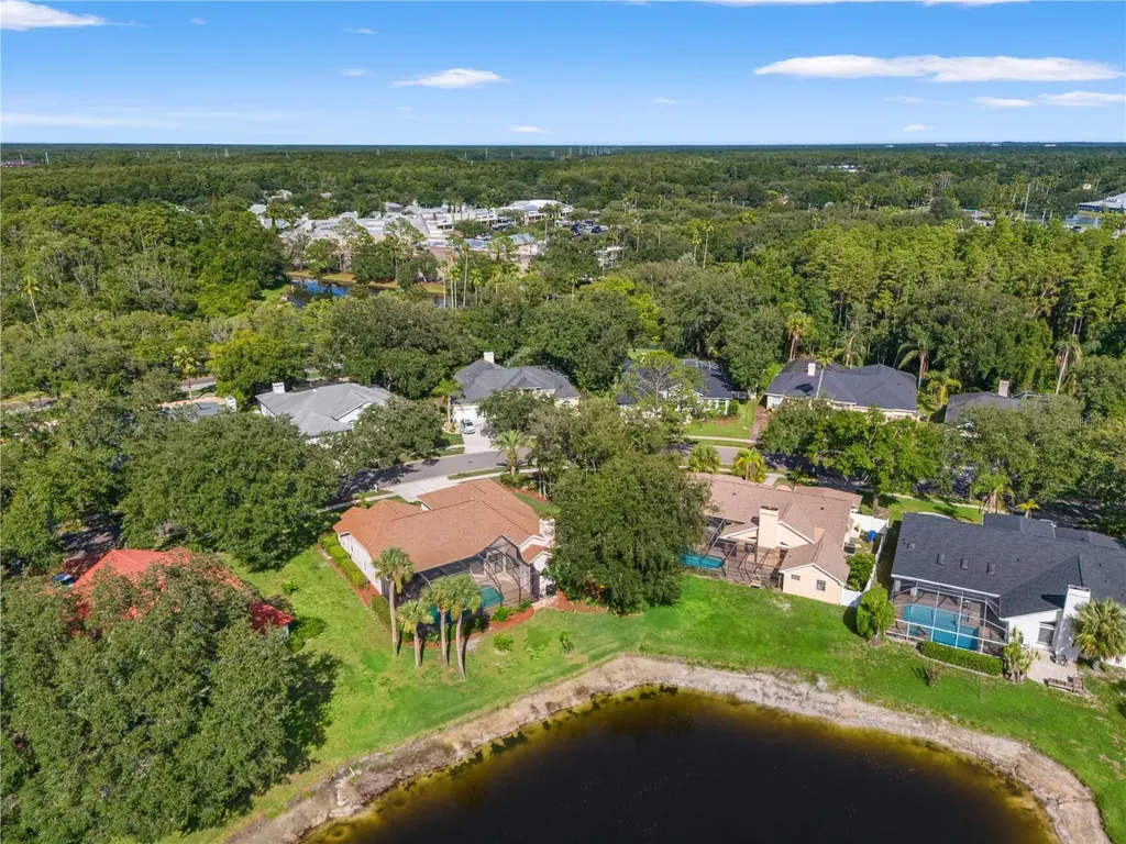 15923 Ellsworth Drive Tampa FL 33647