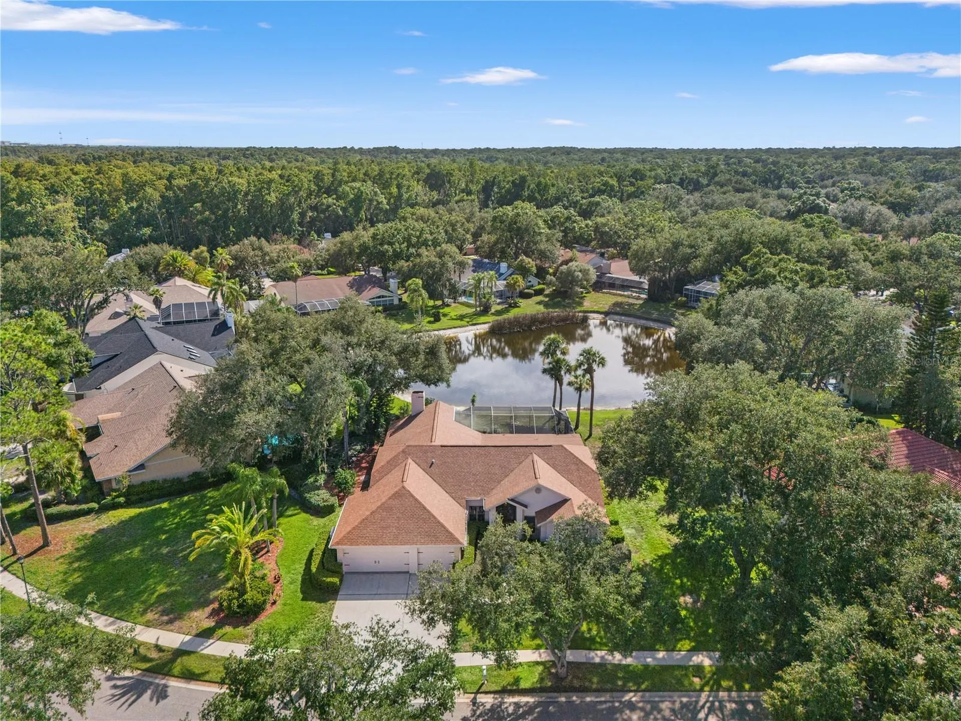 15923 Ellsworth Drive Tampa FL 33647