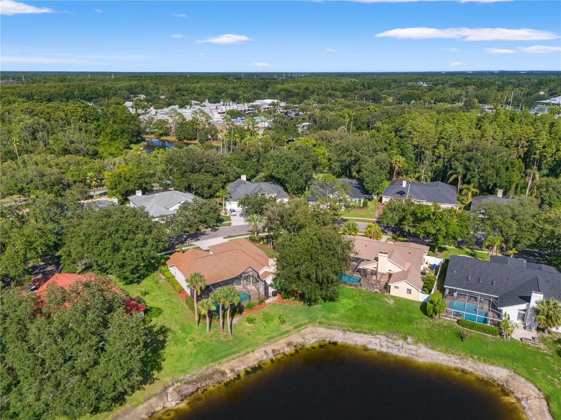 15923 Ellsworth Drive Tampa FL 33647
